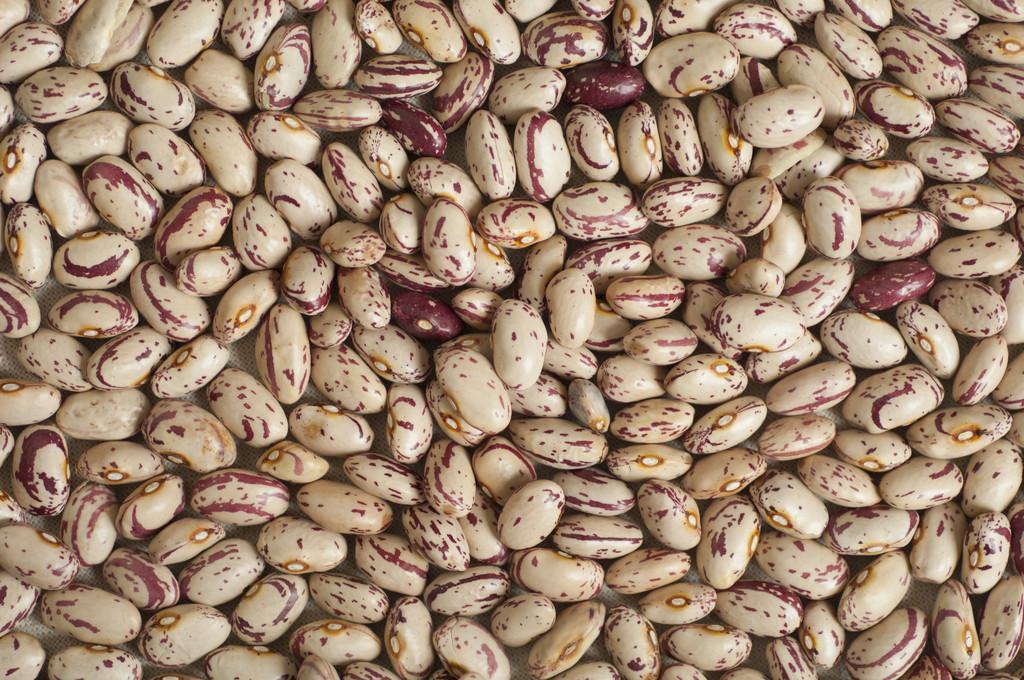 Pinto Beans