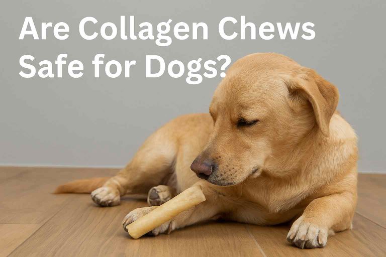 are collagen chews safe for dogs