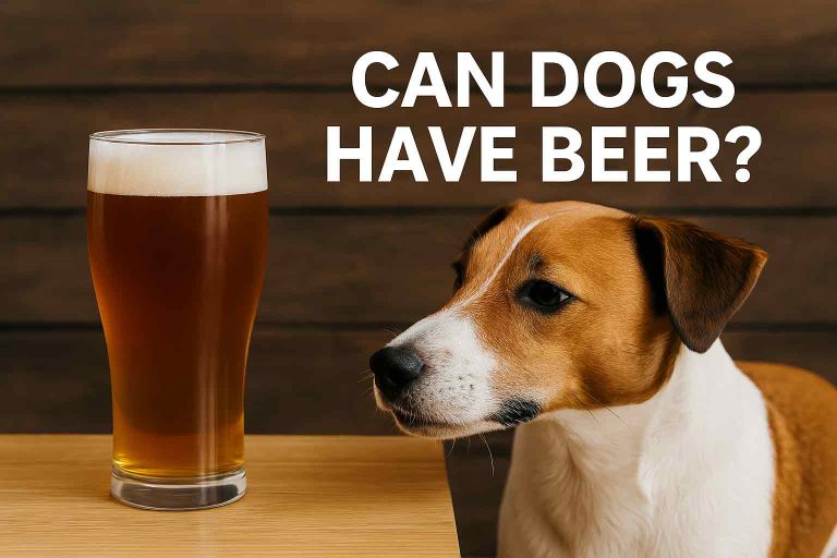 can dogs have beer