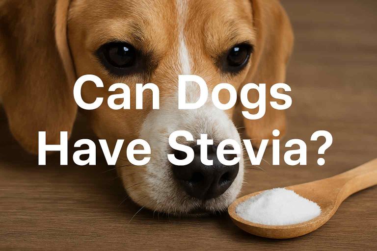 can dogs have stevia