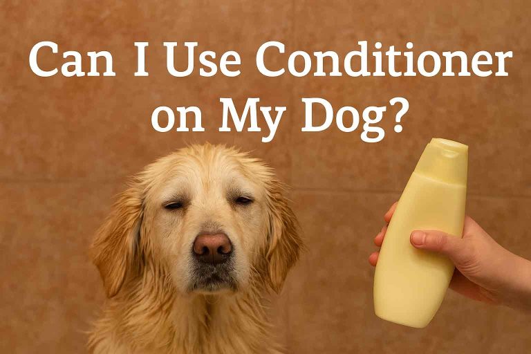 can i use conditioner on my dog