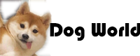 Dog world box