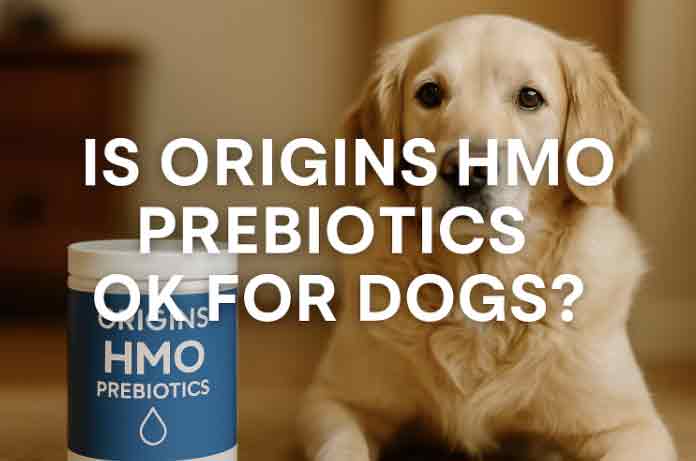is origins hmo prebiotics ok for dogs
